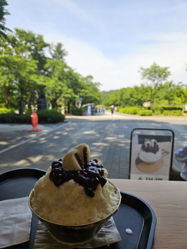 서울대공원 고고스 카페 팥빙수